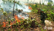 Nghe An armed forces relentlessly fight forest fire